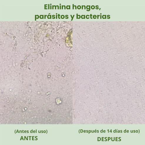 Alimora OregaMix