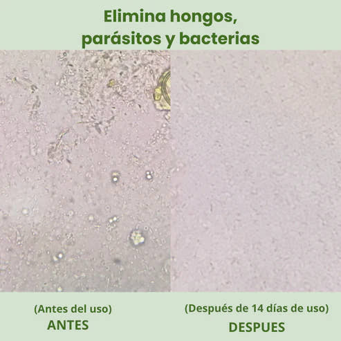 Alimora OregaMix